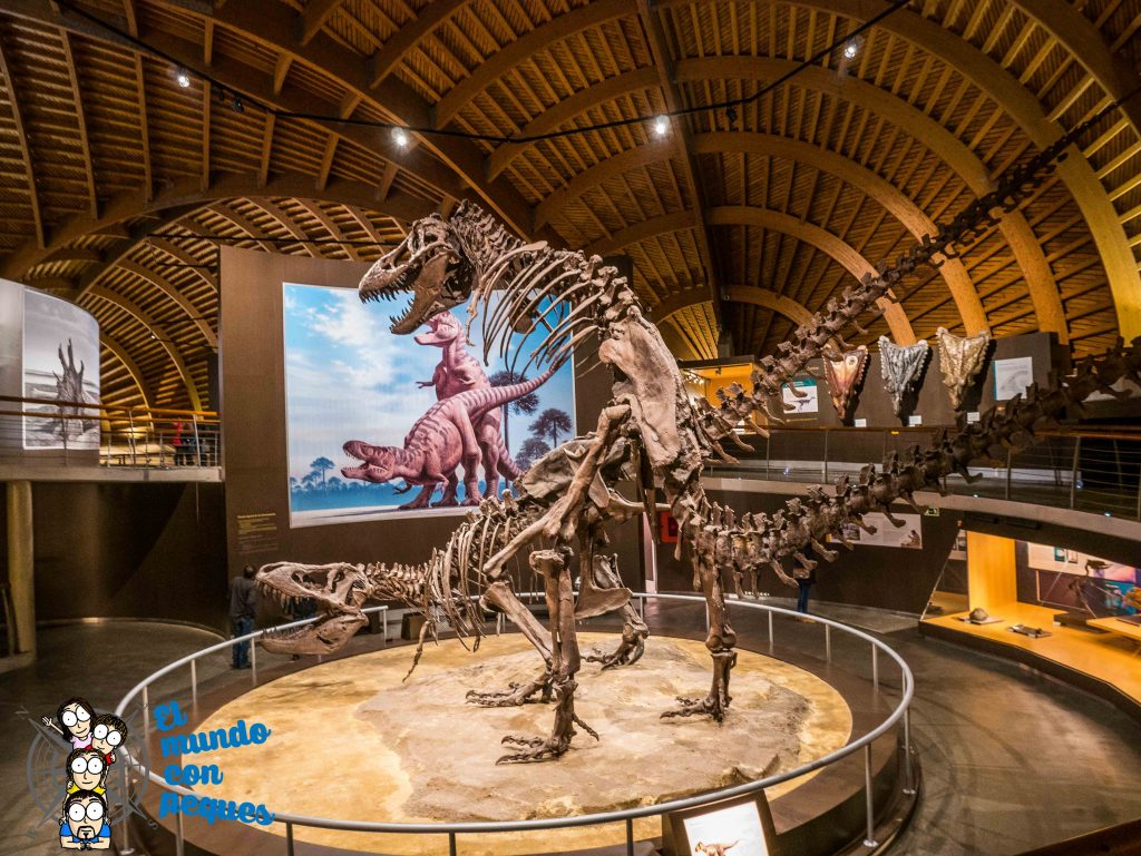 Los tyranosaurus rex a tamaño real en el MUJA. Dinosaurios al natural