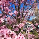 16 destinos en furgoneta para disfrutar esta primavera